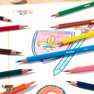 Карандаши цветные BIC "Kids ECOlutions Evolution", 12 ЦВЕТОВ, пластиковые, европодвес, 82902914