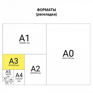 Обложки пластиковые для переплета БОЛЬШОЙ ФОРМАТ А3, КОМПЛЕКТ 100 шт., 200 мкм, прозрачные, ОФИСМАГ, 531446