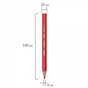 Карандаши цветные утолщенные BIC "Kids Evolution Triangle", 12 цветов, трехгранные, грифель 4 мм, 8297356, 82973511