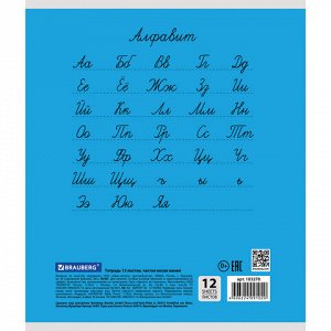 Тетрадь 12 л. BRAUBERG КЛАССИКА, частая косая линия, обложка картон, АССОРТИ (5 видов), 103278