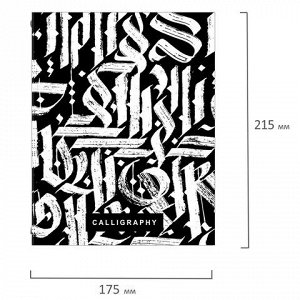 Тетрадь на кольцах А5 (175х215 мм), 240 листов, твердый картон, клетка, с разделителями, BRAUBERG, Calligraphy,404097