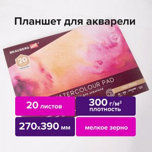 Папка для акварели/планшет, 300 г/м2, 270х390 мм, склейка, мелкое зерно, 20 л., BRAUBERG ART PREMIERE, 113249