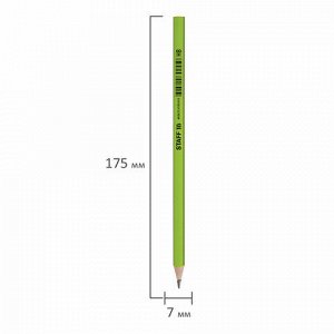Карандаш чернографитный STAFF "Basic" BLP-743, 1 шт., НВ, пластиковый, корпус ассорти, 181743
