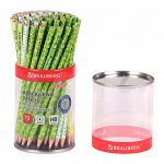 5 шт. карандаш чернографитный BRAUBERG &quot;GREEN&quot;, 1 шт., HB, пластиковый, корпус ассорти, 181745
