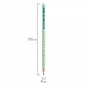 Карандаш чернографитный BRAUBERG "GREEN", 1 шт., HB, пластиковый, корпус ассорти, 181745