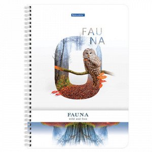 Тетрадь А4, 96 л., BRAUBERG, гребень, клетка, обложка картон, &quot;Fauna&quot;, 404058