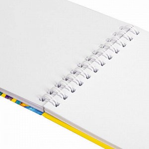 Скетчбук белая бумага 100 г/м2 165х240 мм, 80 л., гребень, твердая обложка, BRAUBERG ART DEBUT, 112985