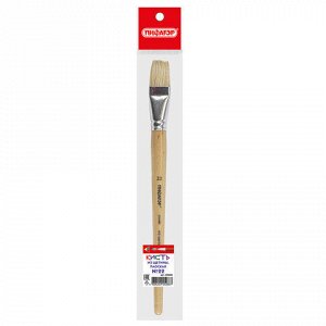 Кисть ПИФАГОР, ЩЕТИНА, плоская, № 22, деревянная лакированная ручка, пакет с подвесом, 200880