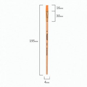 Кисть ПИФАГОР, синтетика, плоская, № 8, 200861