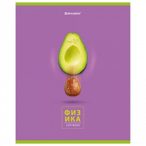 Тетрадь предметная "AVOCADO" 48 л., глянцевый лак, ФИЗИКА, клетка, BRAUBERG, 404283