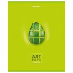 Тетрадь предметная со справочным материалом &quot;AVOCADO&quot; 48 л., глянцевый лак, АЛГЕБРА, клетка, BRAUBERG, 404273