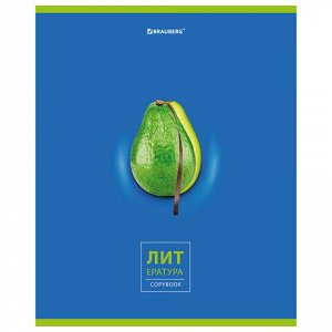 Тетрадь предметная "AVOCADO" 48 л., глянцевый лак, ЛИТЕРАТУРА, линия, подсказ, BRAUBERG, 404281