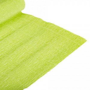 Бумага гофрированная (ИТАЛИЯ) 180 г/м2, салатовая (558), 50х250 см, BRAUBERG FIORE, 112613