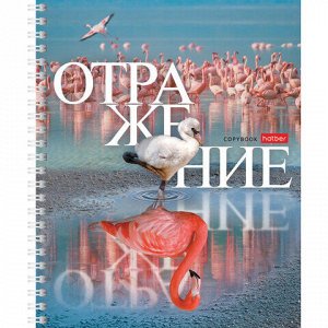 Тетрадь А5 48 л. HATBER гребень, клетка, обложка картон, "Отражение" (4 вида в спайке), 48Т5В1гр