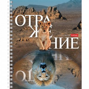 Тетрадь А5 48 л. HATBER гребень, клетка, обложка картон, &quot;Отражение&quot; (4 вида в спайке), 48Т5В1гр