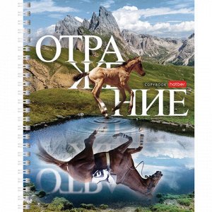 Тетрадь А5 48 л. HATBER гребень, клетка, обложка картон, &quot;Отражение&quot; (4 вида в спайке), 48Т5В1гр