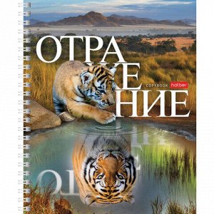 Тетрадь А5 48 л. HATBER гребень, клетка, обложка картон, "Отражение" (4 вида в спайке), 48Т5В1гр