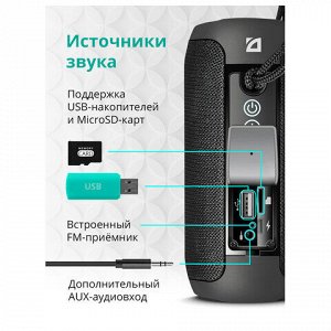 Колонка портативная DEFENDER Enjoy S700, 2.0, 10 Вт, Bluetooth, FM-тюнер, USB, microUSB, micro SD, черная, 65701 