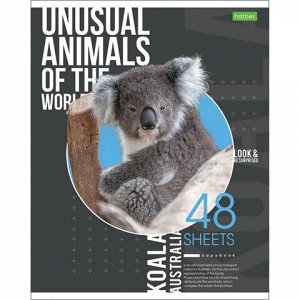 Тетрадь А5 48 л. HATBER-ECO, скоба, клетка, обложка картон, "Animals", 48Т5C1