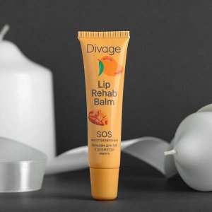 Бальзам для губ Divage Lip Rehab Balm, с ароматом манго