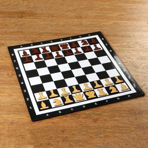 Демонстрационные шахматы &quot;Время игры&quot; на магнитной доске, 32 шт, поле 60 х 60 см