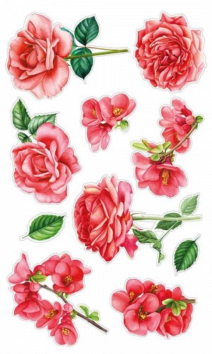 Декоративные виниловые наклейки "Алые розы" 30х50 см