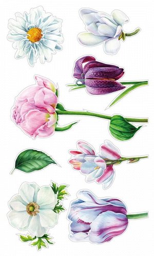 Декоративные виниловые наклейки "Цветы со стеблями" 30х50 см