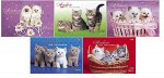 Альбом для рисования 24л на спирали &quot;Милые котята&quot; с перфорац. на отрыв (004077) Хатбер {Россия}