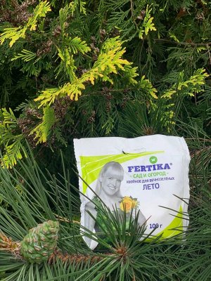 FERTIKA Хвойные Лето 100гр Фертика 1/50