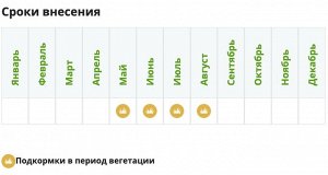 Хвойные Лето 100гр Фертика 1/50