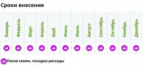 УД Лиственные культуры 30мл*3 Leaf Power Фертика 1/30