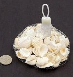 Ракушка морская White Cokles 160 гр HS-13-6