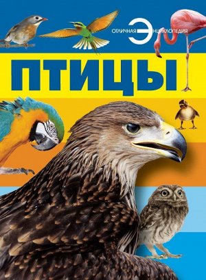 Анна Спектор: Птицы 192стр., 262х200х17мм, Твердый переплет