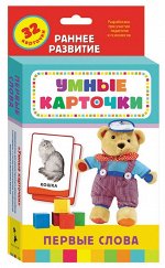 Первые слова (Развивающие карточки 0+) 64стр., 200х110х20мм, Картон
