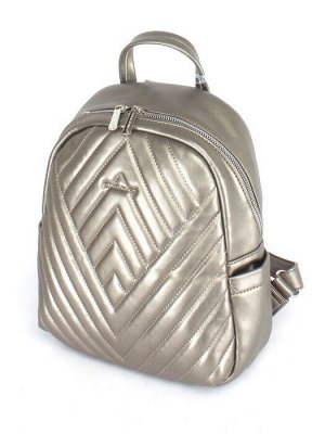 Рюкзак жен искусственная кожа DJ-6724-4,  D. SILVER,  1отд,  3внут+2внеш/ карм,  серебро 245519