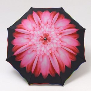 Зонт механический «Цветок», 4 сложения, 8 спиц, R = 47 см, цвет МИКС