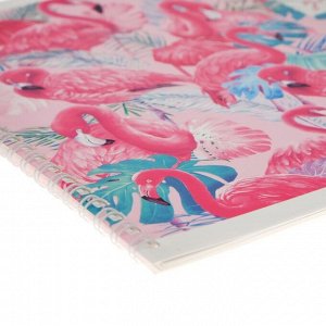 Альбом для рисования А4, 24 листа на гребне "Фламинго", обложка мелованная бумага, блок 100 г/м?