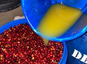 Дрип-пакеты Эфиопия Кинеан Дукамо кофе