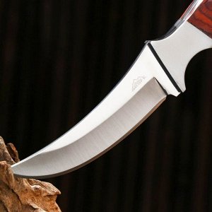 Нож охотничий "Ринд" 22см, клинок 115мм/4мм, коричневый