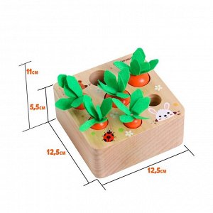 Развивающий набор «Посади разные морковки», 12,5 ? 12,5 ? 5,5 см