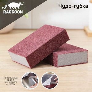 Набор губок чистящий Raccoon «Чудо-губка», 10,5х7х5 см, 2 шт