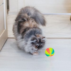 Мячик светящийся для собак "Цирковой", TPR, 6,5 см, микс цветов