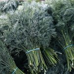 Алмаз 2,0г для многокр. срезки Г укроп