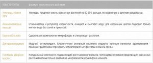 Х Срезанные цветы  0,285л Бона Форте концентрат 1/20