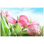 Наклейка на кафельную плитку 75*45см YL-1010