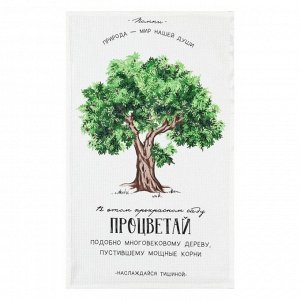 Набор кухонных полотенец Доляна «Красота повсюду», 35х60см-4шт, 100% хлопок