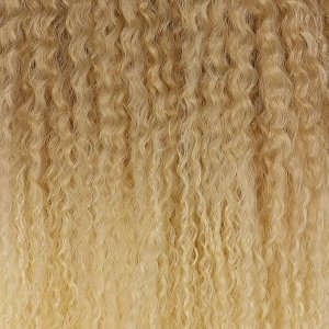 САМБА Афролоконы, 60 см, 270 гр, цвет светло-русый/блонд HKB15/613 (Бразилька)