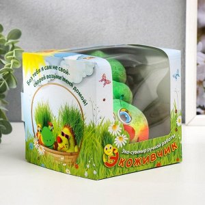 Растущая травка Экоживчик "Гусеница 2" МИКС подарочная упаковка