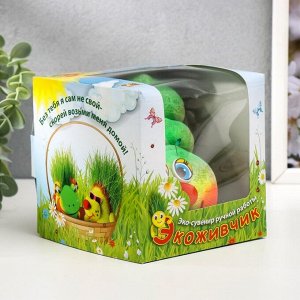 Набор для выращивания «ЭкоЖивчик. Гусеничка», фигурка растущая в подарочной упаковке, МИКС