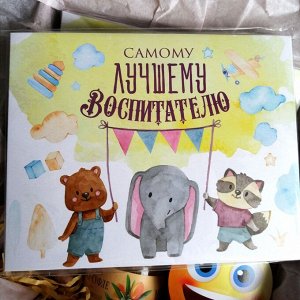Ах, как мило Воспитателю Подарочный набор &quot;Самому лучшему воспитателю&quot;